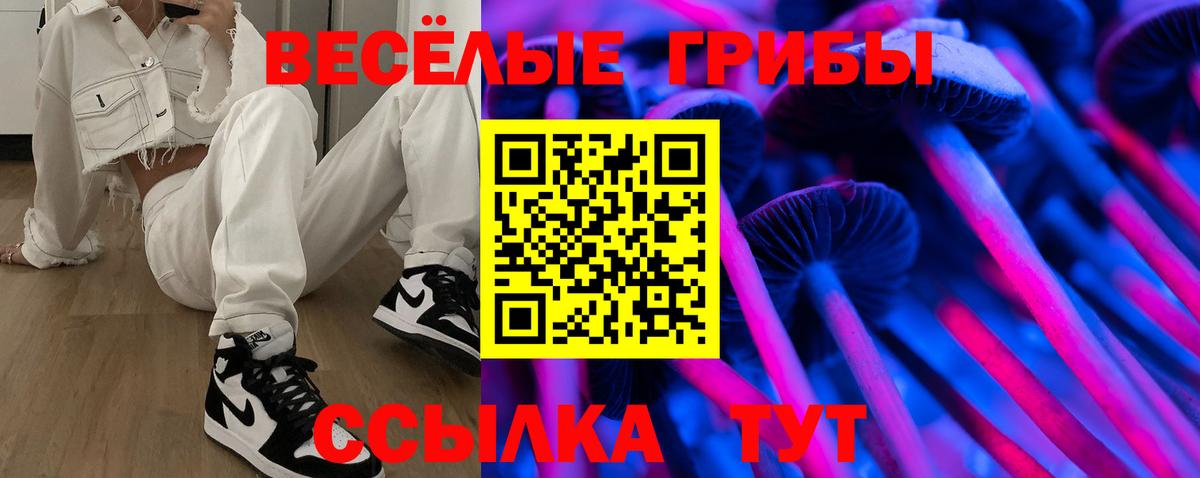 Кирово-Чепецк  Галлюциногенные грибы Psilocybe  Вход с VPN 